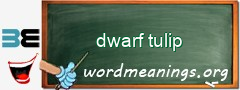 WordMeaning blackboard for dwarf tulip